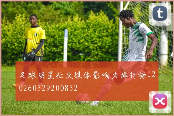 足球明星社交媒体影响力排行榜_20260529200852